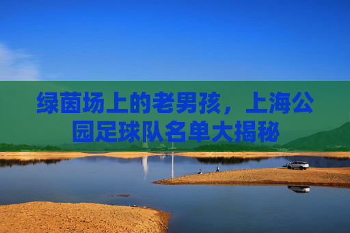 绿茵场上的老男孩,上海公园足球队名单大揭秘
