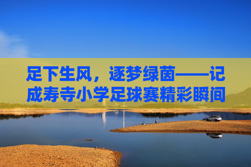 足下生风,逐梦绿茵——记成寿寺小学足球赛精彩瞬间