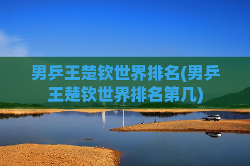 男乒王楚钦世界排名(男乒王楚钦世界排名第几)