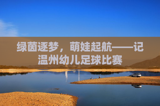 绿茵逐梦,萌娃起航——记温州幼儿足球比赛