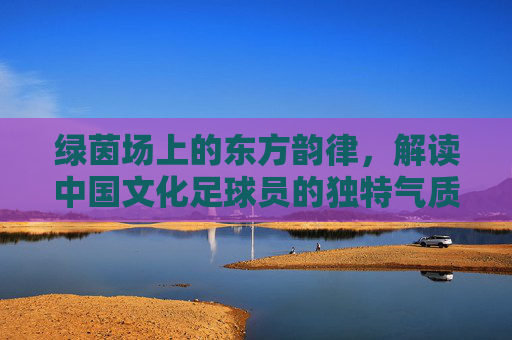 绿茵场上的东方韵律,解读中国文化足球员的独特气质