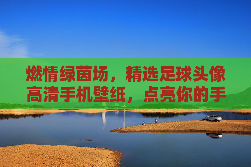 燃情绿茵场,精选足球头像高清手机壁纸,点亮你的手机屏幕