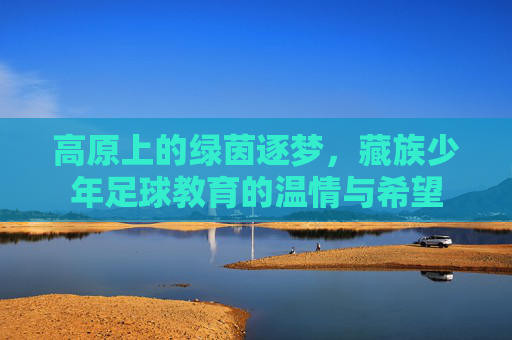 高原上的绿茵逐梦,藏族少年足球教育的温情与希望