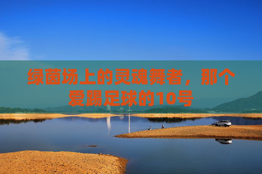绿茵场上的灵魂舞者,那个爱踢足球的10号