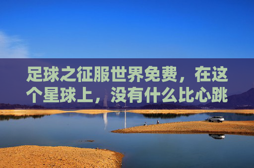足球之征服世界免费,在这个星球上,没有什么比心跳更廉价