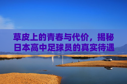 草皮上的青春与代价,揭秘日本高中足球员的真实待遇