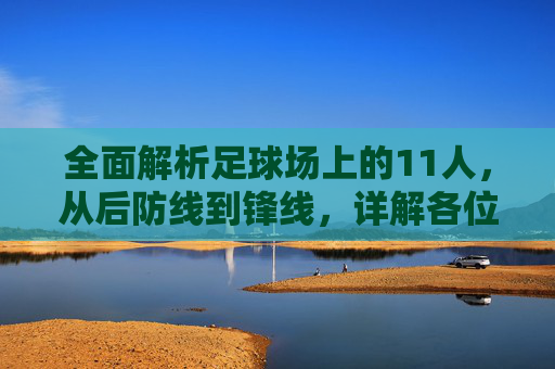 全面解析足球场上的11人,从后防线到锋线,详解各位置职责与特点
