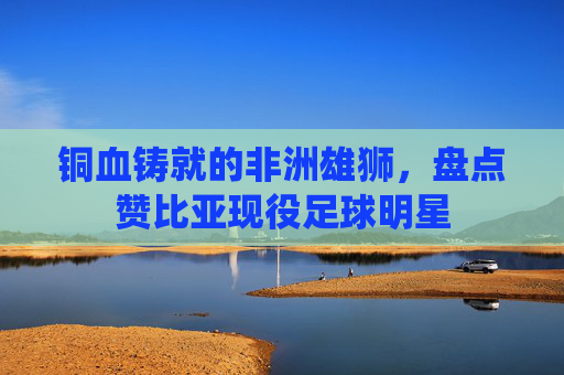 铜血铸就的非洲雄狮,盘点赞比亚现役足球明星