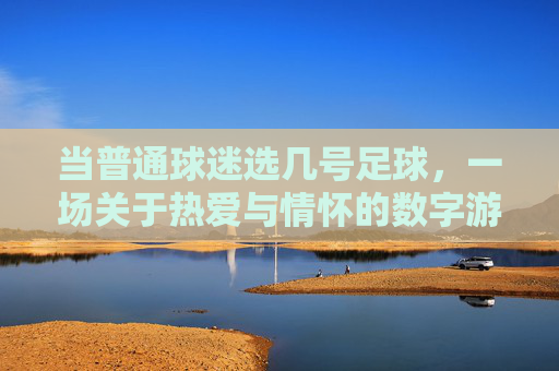 当普通球迷选几号足球,一场关于热爱与情怀的数字游戏