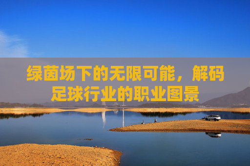 绿茵场下的无限可能,解码足球行业的职业图景