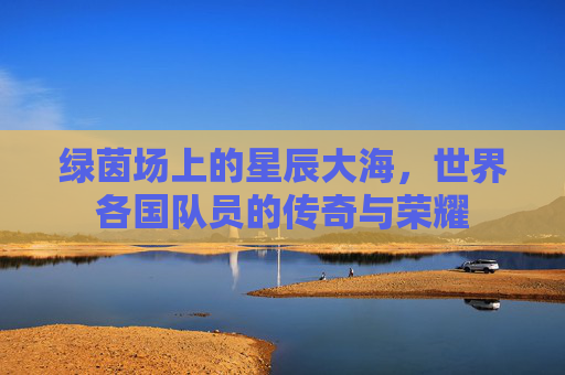 绿茵场上的星辰大海，世界各国队员的传奇与荣耀