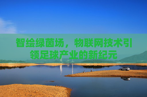 智绘绿茵场,物联网技术引领足球产业的新纪元