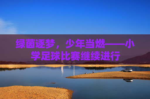绿茵逐梦,少年当燃——小学足球比赛继续进行