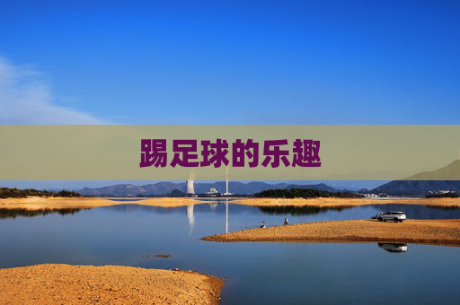 踢足球的乐趣