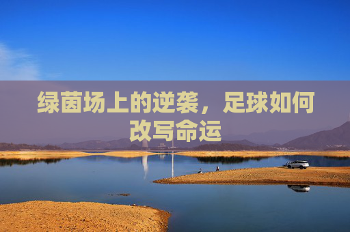 绿茵场上的逆袭,足球如何改写命运