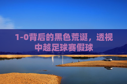 1-0背后的黑色荒诞,透视中越足球赛假球