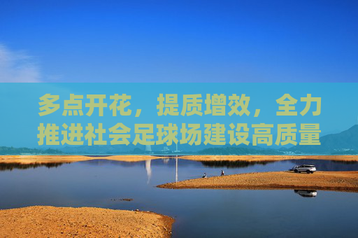 多点开花,提质增效,全力推进社会足球场建设高质量发展