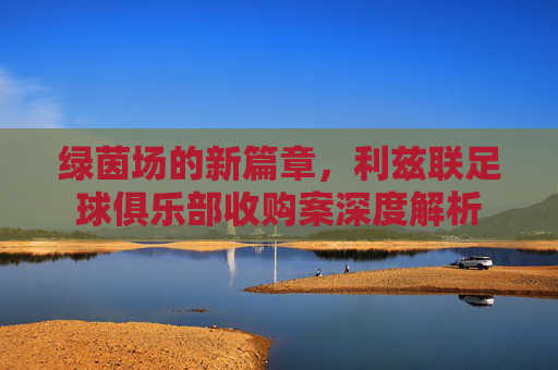 绿茵场的新篇章,利兹联足球俱乐部收购案深度解析