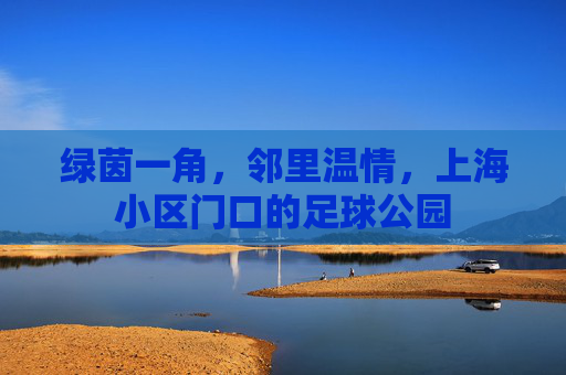 绿茵一角,邻里温情,上海小区门口的足球公园