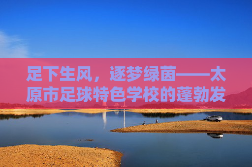 足下生风,逐梦绿茵——太原市足球特色学校的蓬勃发展之路