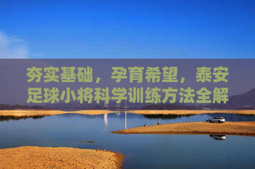 夯实基础,孕育希望,泰安足球小将科学训练方法全解析