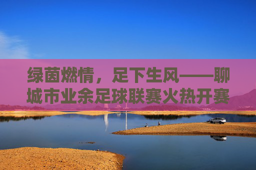 绿茵燃情,足下生风——聊城市业余足球联赛火热开赛