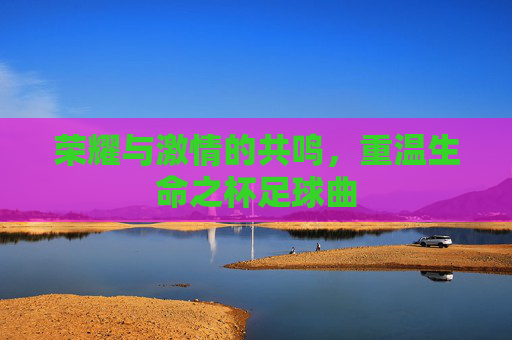 荣耀与激情的共鸣,重温生命之杯足球曲