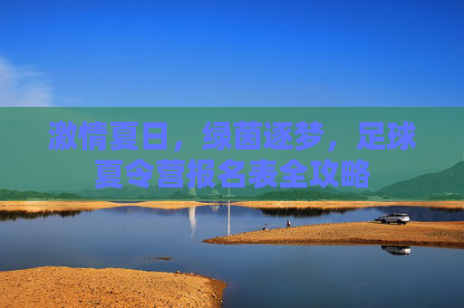 激情夏日,绿茵逐梦,足球夏令营报名表全攻略