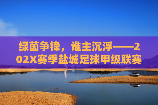 绿茵争锋，谁主沉浮——202X赛季盐城足球甲级联赛积分榜深度解析