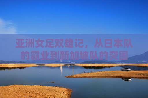 亚洲女足双雄记,从日本队的霸业到新加坡队的突围