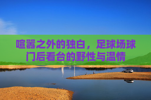 喧嚣之外的独白,足球场球门后看台的野性与温情