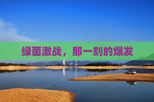 绿茵激战,那一刻的爆发