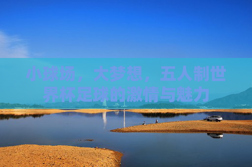 小球场,大梦想,五人制世界杯足球的激情与魅力
