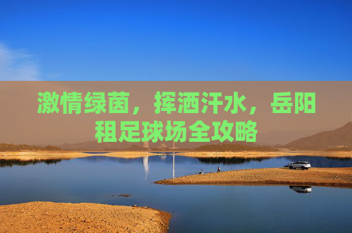 激情绿茵,挥洒汗水,岳阳租足球场全攻略
