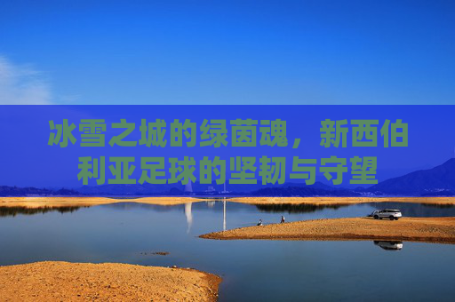 冰雪之城的绿茵魂,新西伯利亚足球的坚韧与守望