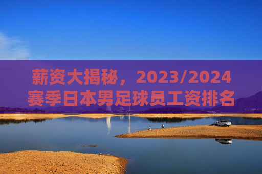 薪资大揭秘,2023/2024赛季日本男足球员工资排名一览