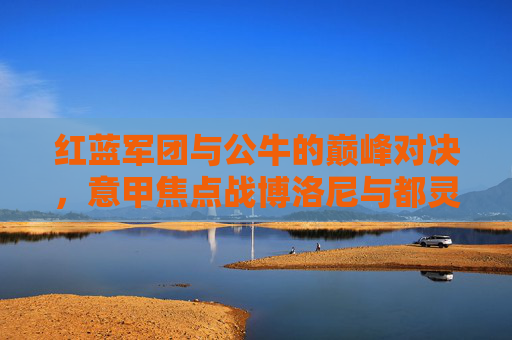 红蓝军团与公牛的巅峰对决,意甲焦点战博洛尼与都灵足球比赛前瞻