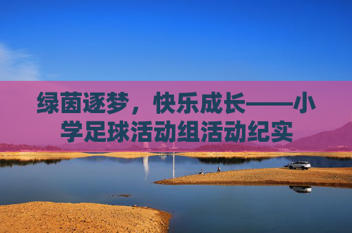 绿茵逐梦，快乐成长——小学足球活动组活动纪实