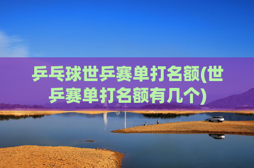 乒乓球世乒赛单打名额(世乒赛单打名额有几个)