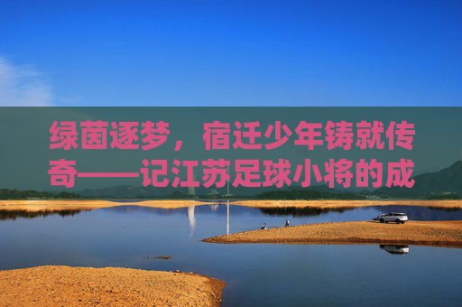 绿茵逐梦，宿迁少年铸就传奇——记江苏足球小将的成长之路