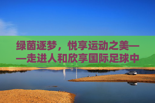 绿茵逐梦,悦享运动之美——走进人和欣享国际足球中心
