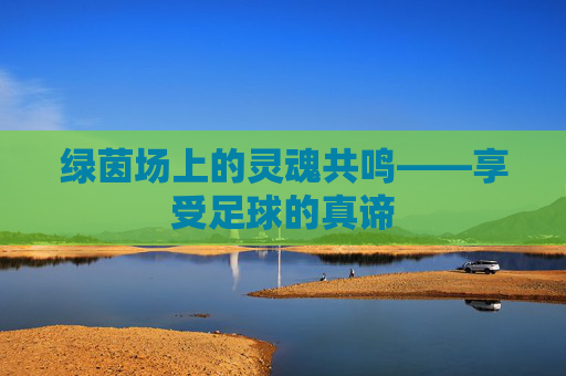 绿茵场上的灵魂共鸣——享受足球的真谛