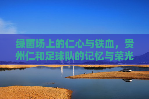 绿茵场上的仁心与铁血,贵州仁和足球队的记忆与荣光
