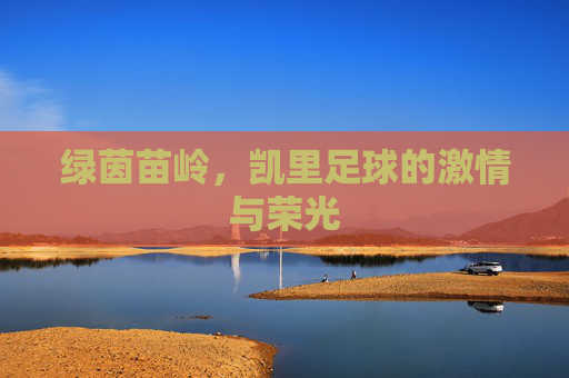 绿茵苗岭，凯里足球的激情与荣光