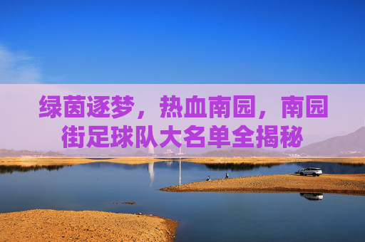 绿茵逐梦，热血南园，南园街足球队大名单全揭秘