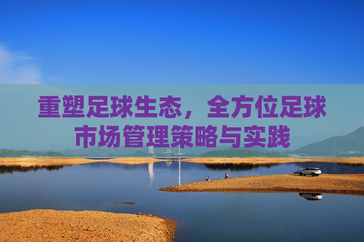 重塑足球生态,全方位足球市场管理策略与实践