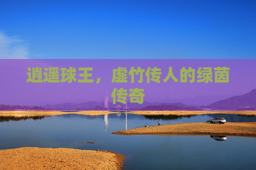 逍遥球王,虚竹传人的绿茵传奇
