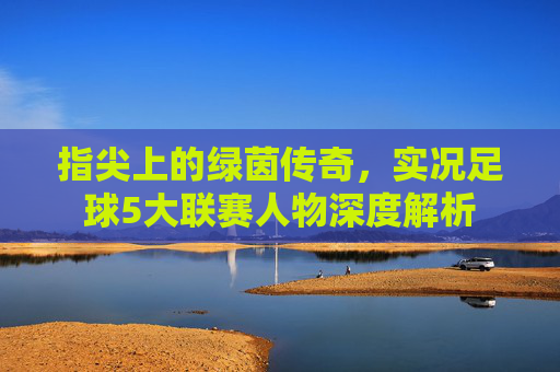指尖上的绿茵传奇，实况足球5大联赛人物深度解析
