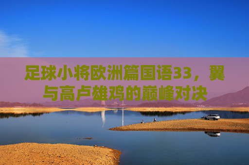 足球小将欧洲篇国语33，翼与高卢雄鸡的巅峰对决