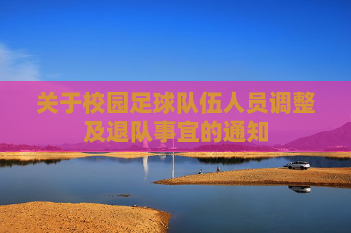 关于校园足球队伍人员调整及退队事宜的通知